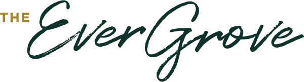The EverGroove logo on a green background.